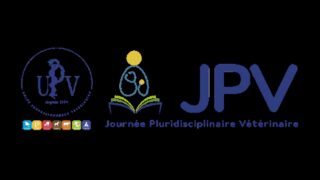 jpv jpv